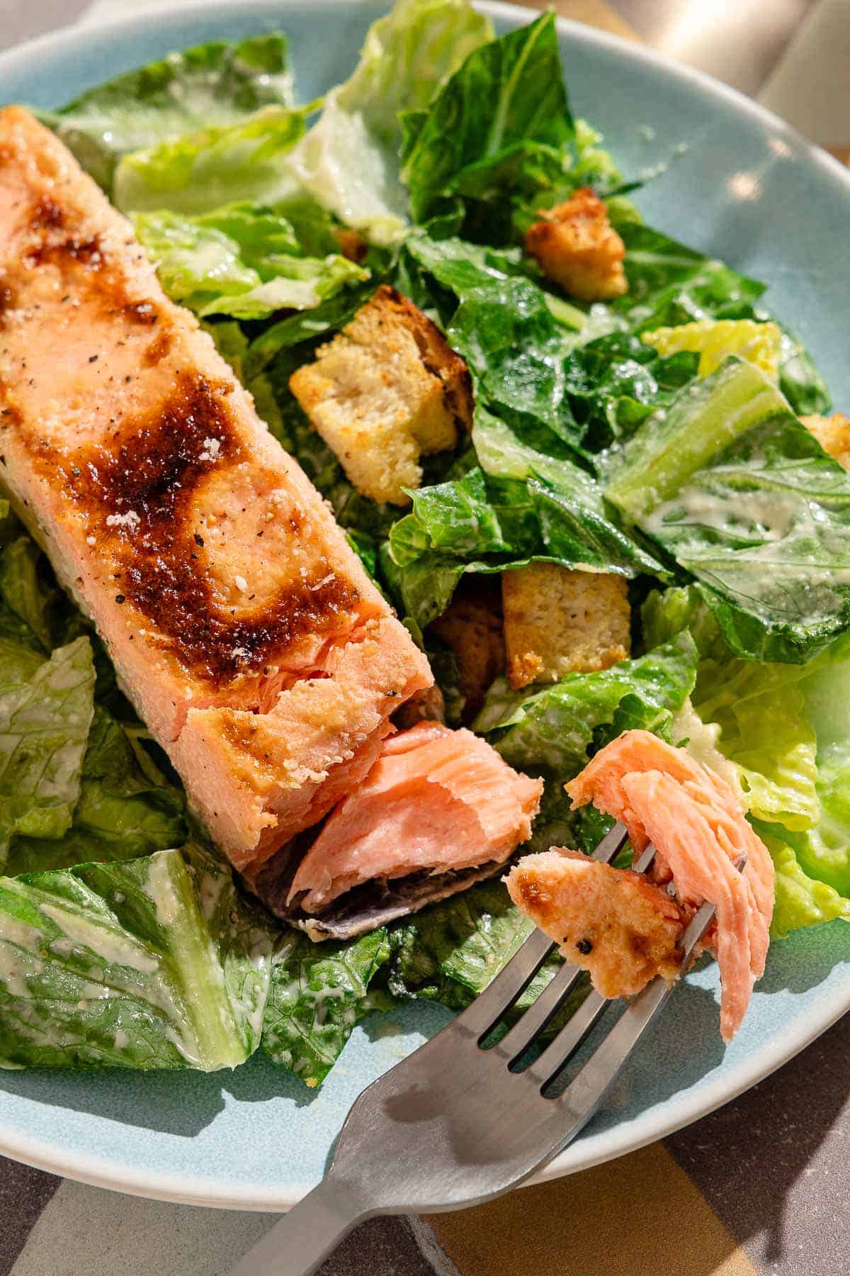 A close up of salmon caesar salad in a bowl with a fork.