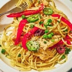 A serving of tuna pasta on a plate with a fork.