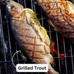 Grilled trout pin image 2.