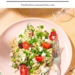 Orzo salad pin image 1.