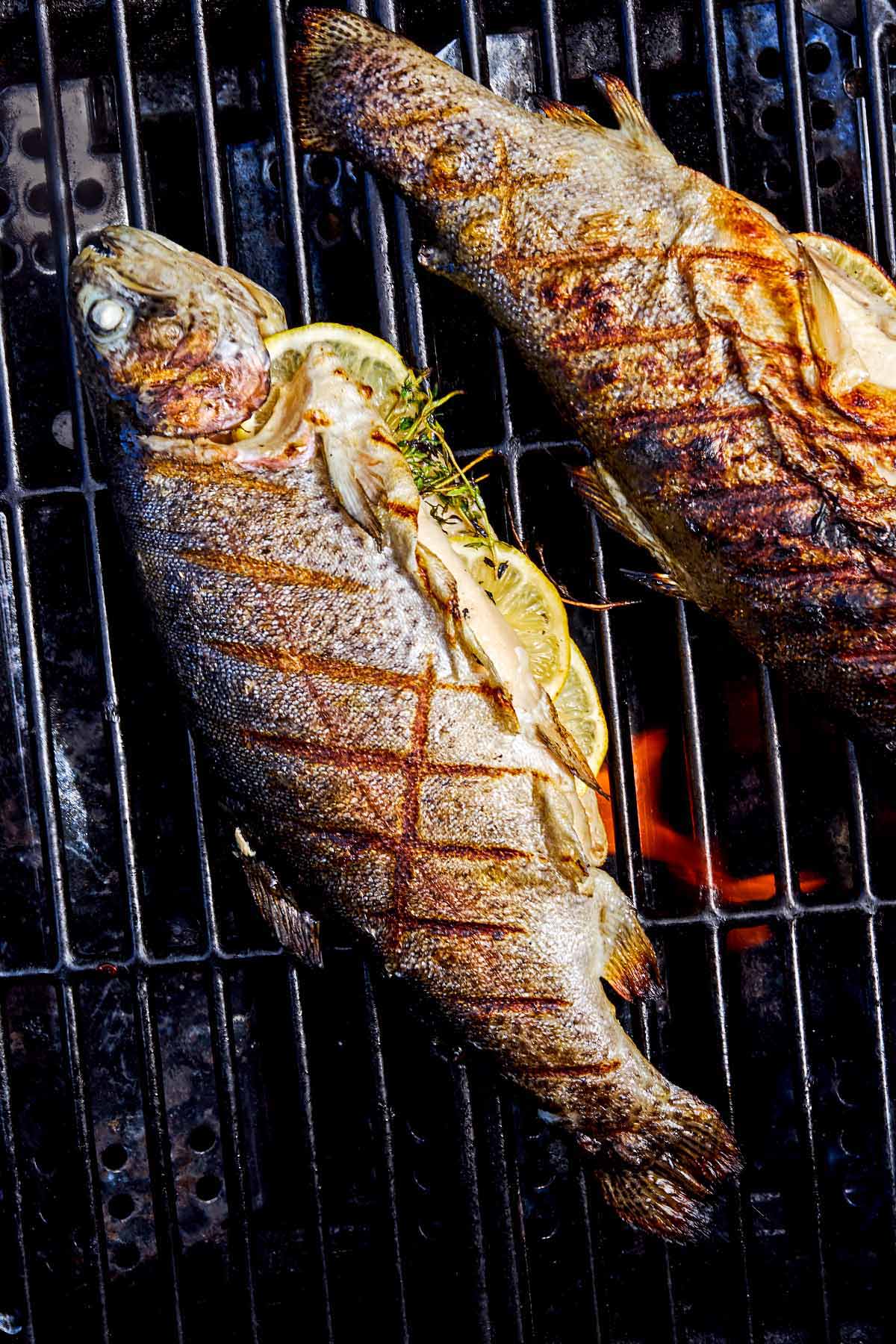Two whole trout stuffed with lemon wheels and sprigs of thyme cooking on a grill.