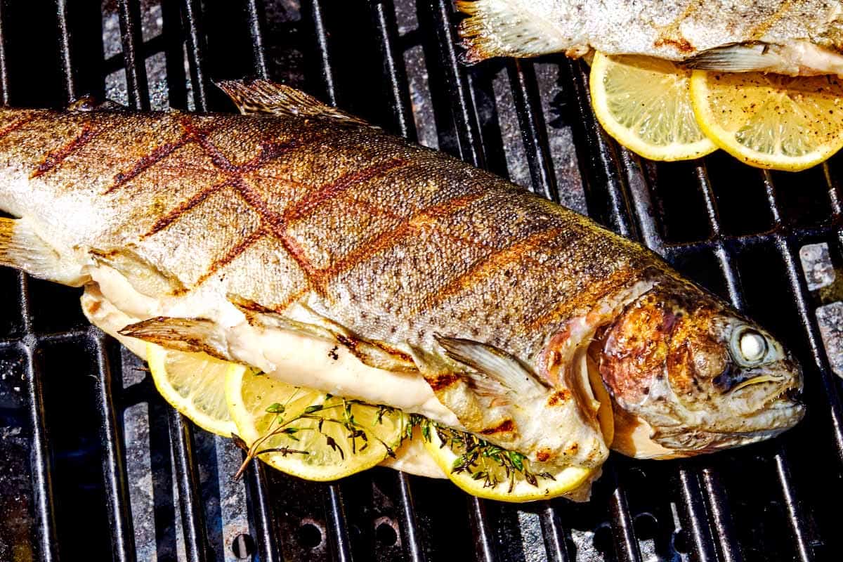 A whole trout stuffed with lemon wheels and sprigs of thyme cooking on a grill.