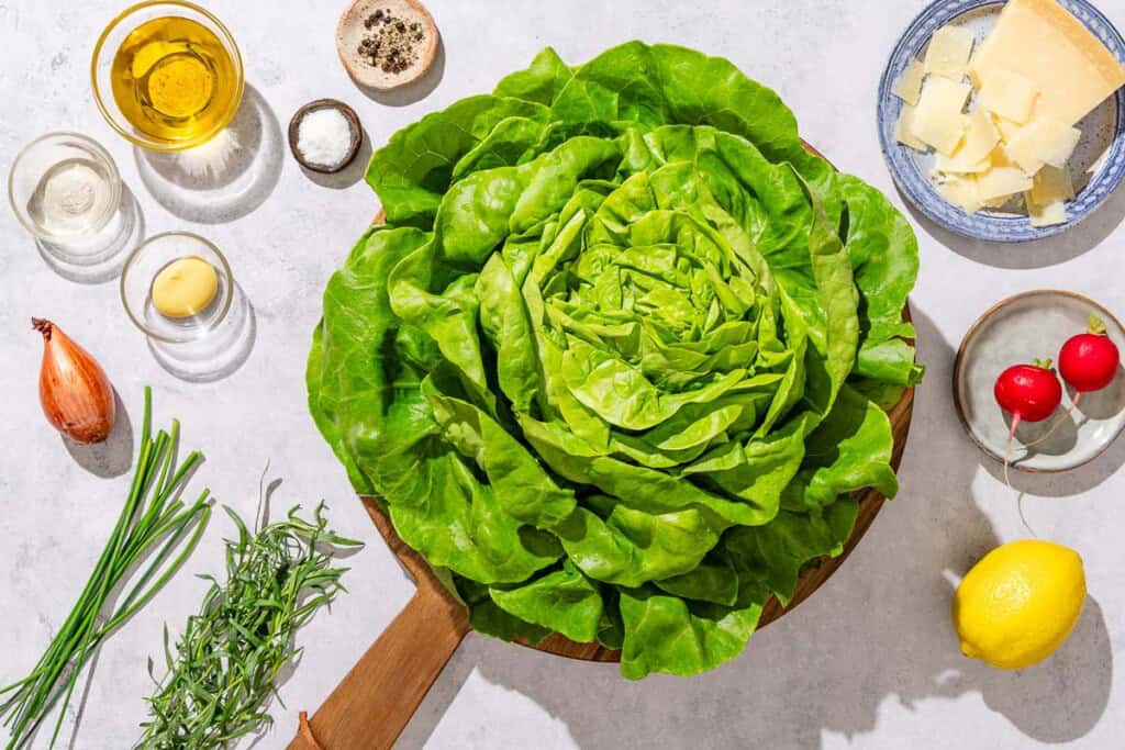 Ingredients for butter lettuce salad including butter lettuce, parmesan cheese, radishes, lemon, black pepper, salt olive oil, white wine vinegar, dijon mustard, shallot, tarragon and chives.