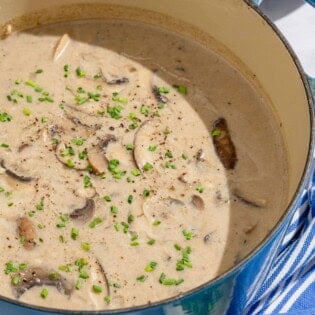 Mushroom soup in a large pot. Next to this is a stack of bowls with 2 spoons, and a small bowl of chopped chives.