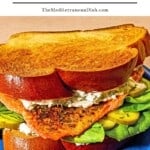 Salmon sandwich pin image 1.
