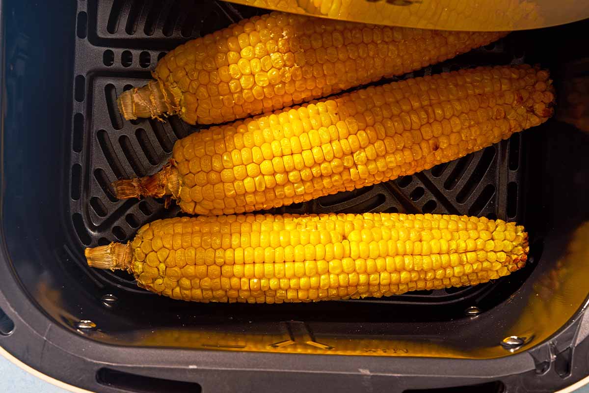 3 ears of corn in the pan of an air fryer.