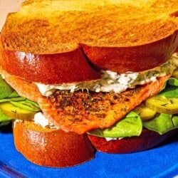 A close up of a salmon sandwich on a plate.