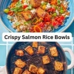 Salmon bowls pin image 3.