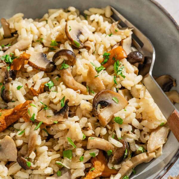 A serving of mushroom rice in a bowl with a fork.
