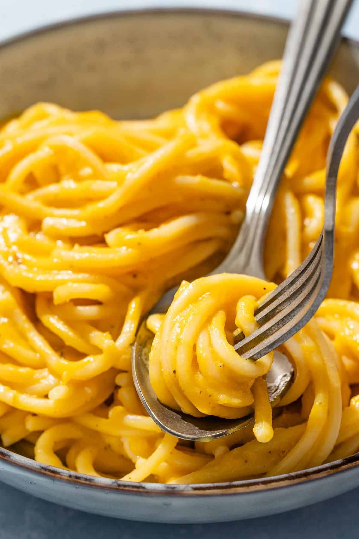 Butternut Squash Pasta Sauce