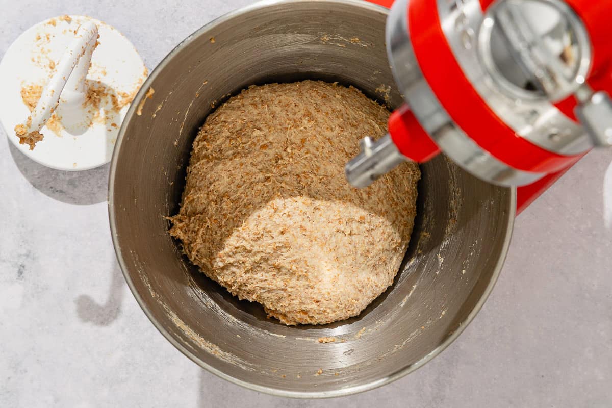 The mixed dough for the whole wheat bread recipe in the bowl of a stand mixer. Next to this is a dough hook.