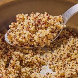 A spoonful of cooked rainbow quinoa being held over a saucepan with the rest of the quinoa.