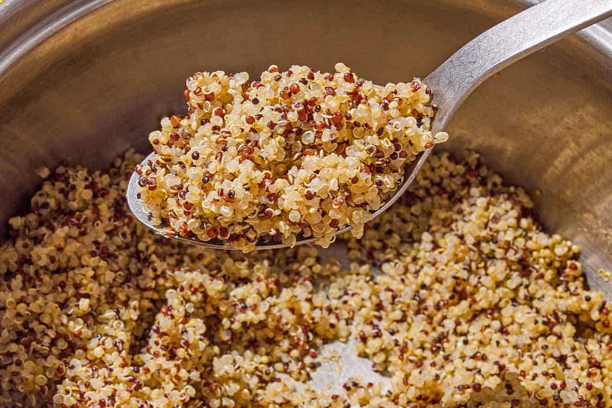 How to Cook Quinoa