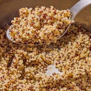 A spoonful of cooked rainbow quinoa being held over a saucepan with the rest of the quinoa.