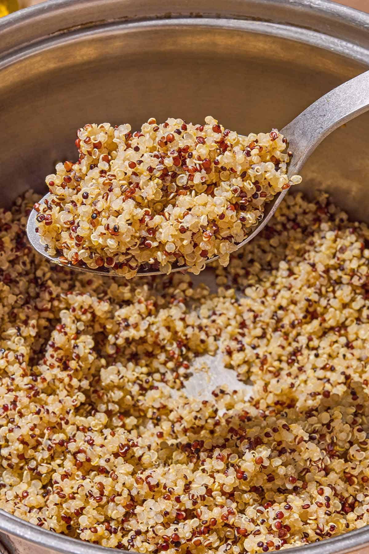 Choisir le bon quinoa : toutes les variétés à connaître