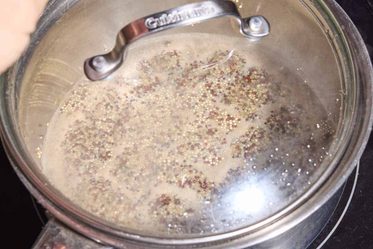 Rainbow quinoa simmering in a saucepan with a lid.