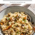 Mushroom rice pin image 1.