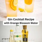 Gin cocktail pin image 3.