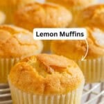 magdalenas pin image 2.