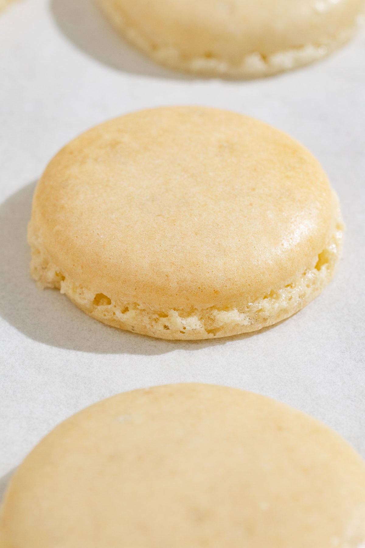 A close up of a macaron shell.