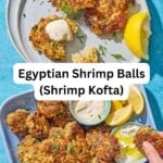 Shrimp kofta pin image 3.