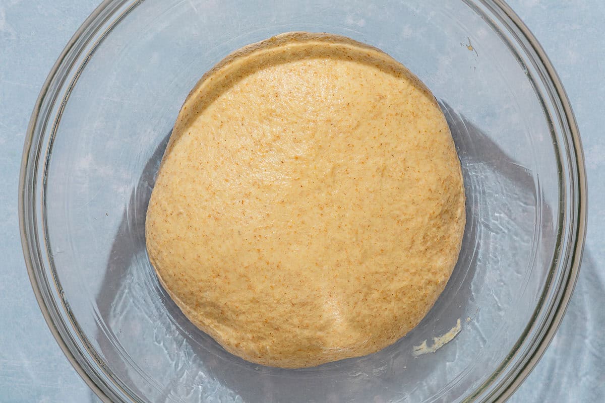 The ball of dough for the dinner rolls in a bowl.