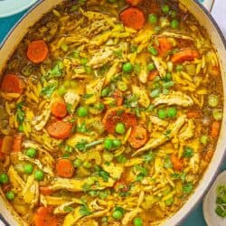Chicken orzo soup in a pot. Next to this is a bowl of chopped green onions and 2 juiced lemon halves.