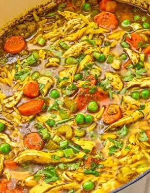 Chicken orzo soup in a pot.