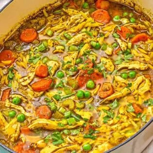 Chicken orzo soup in a pot.