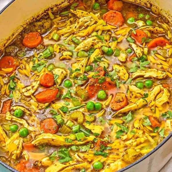 Chicken orzo soup in a pot.