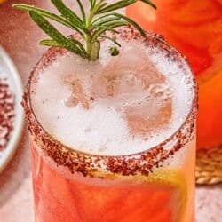 A close up of a glass of the rosemary grapefruit tonic with a grapefruit wheel, a sprig of rosemary and a sumac rim.