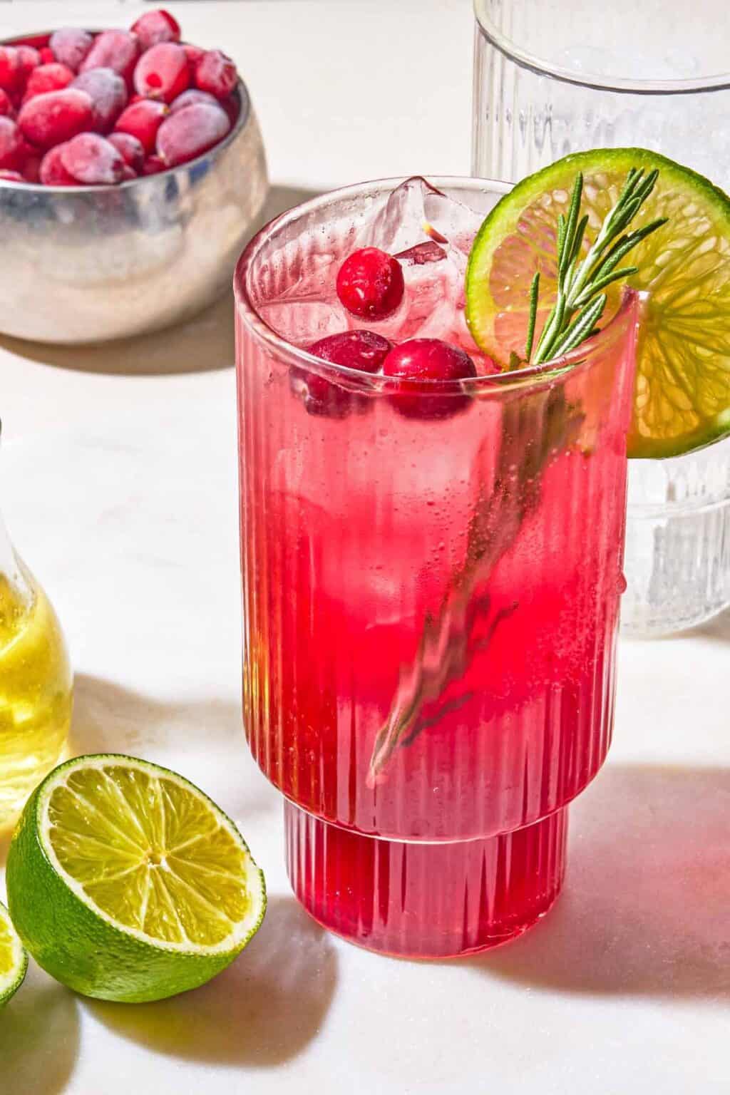 cranberry-mocktail-recipe-with-rosemary-simple-syrup