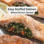 Stuffed salmon pin image 2.