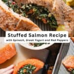 Stuffed salmon pin image 3.