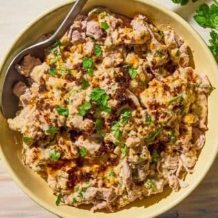 Circassian chicken in a bowl with a spoon next to 2 pieces of pita, sprigs of cilantro and a bowl of walnuts.