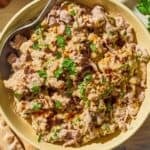 Circassian chicken topped with Aleppo pepper oil in a bowl with a spoon.