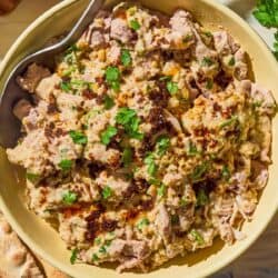 Circassian chicken topped with Aleppo pepper oil in a bowl with a spoon.
