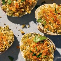 Clams oreganata on a plate.