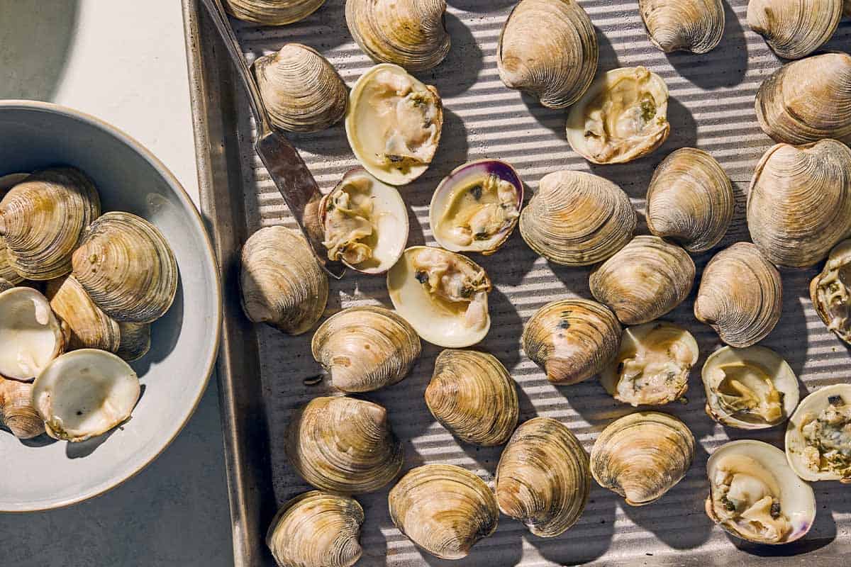 A baking sheet with several clams next to a bowl of clam shells.