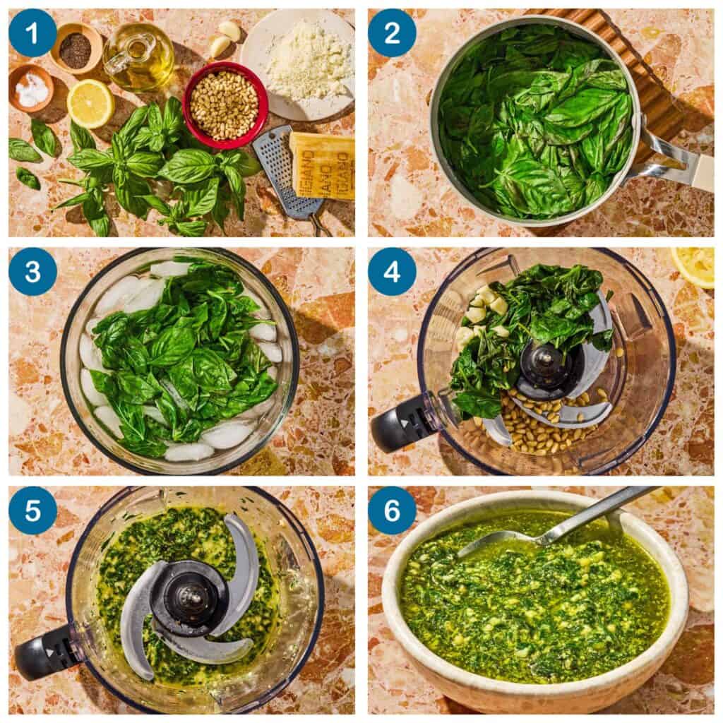 How to make the basil pesto recipe. Step 1: gather the ingredients, Step 2: Blanch the basil, Step 3: Transfer basil leaves to a bowl of ice water, Step 4: Combine the ingredients in the bowl of a food processor, Step 5: blend the ingredients together, Step 6: add to a bowl and serve.
