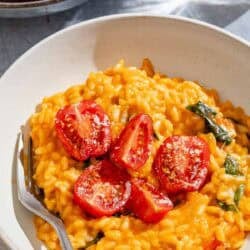 Tomato risotto in a bowl with a fork.