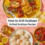 Grilled scallops pin image 3.