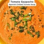 Gazpacho pin image 2.