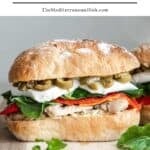 Best picnic recipes pin image 1.