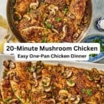 Chicken and mushroom recipe pin image 3.