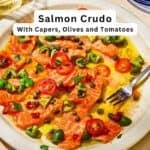 Salmon Crudo pin image 2.