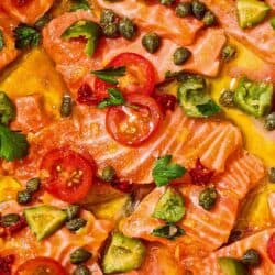 A close up of salmon crudo.