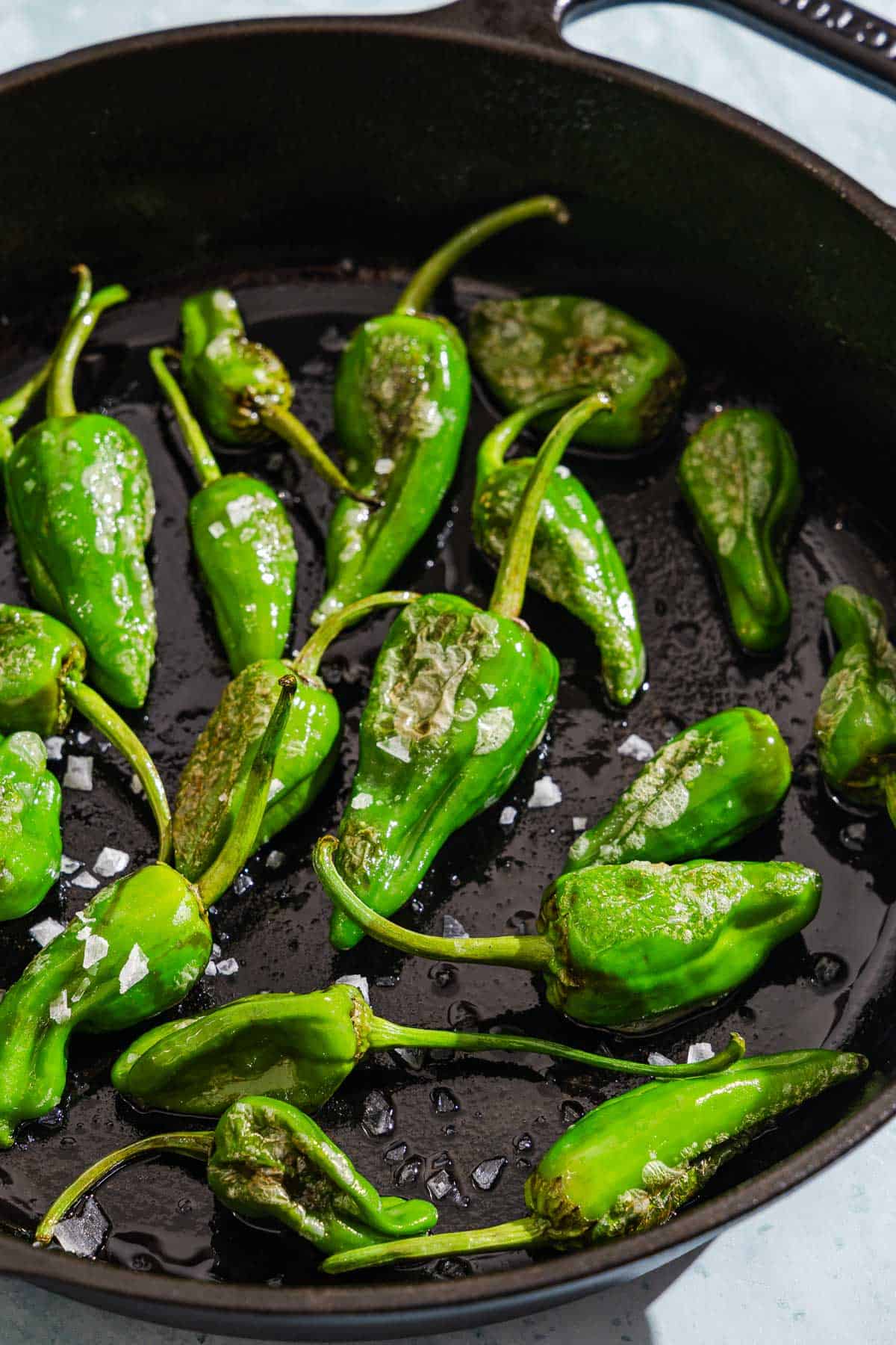Padron peppers topped with flakey sea salt in a cast iron skillet.