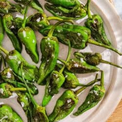 Padron peppers topped with flakey sea salt on a plate.