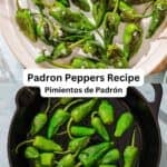 Padron peppers pin image 3.